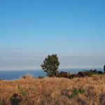 La Vecchia Falegnameria Del Borgo *
