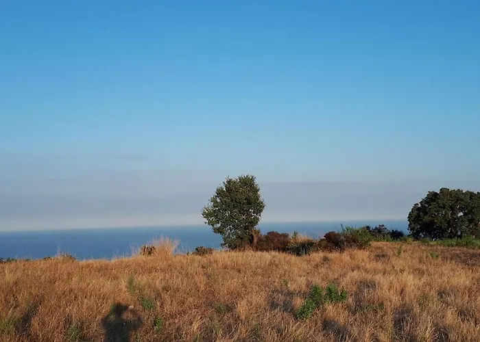 La Vecchia Falegnameria Del Borgo *